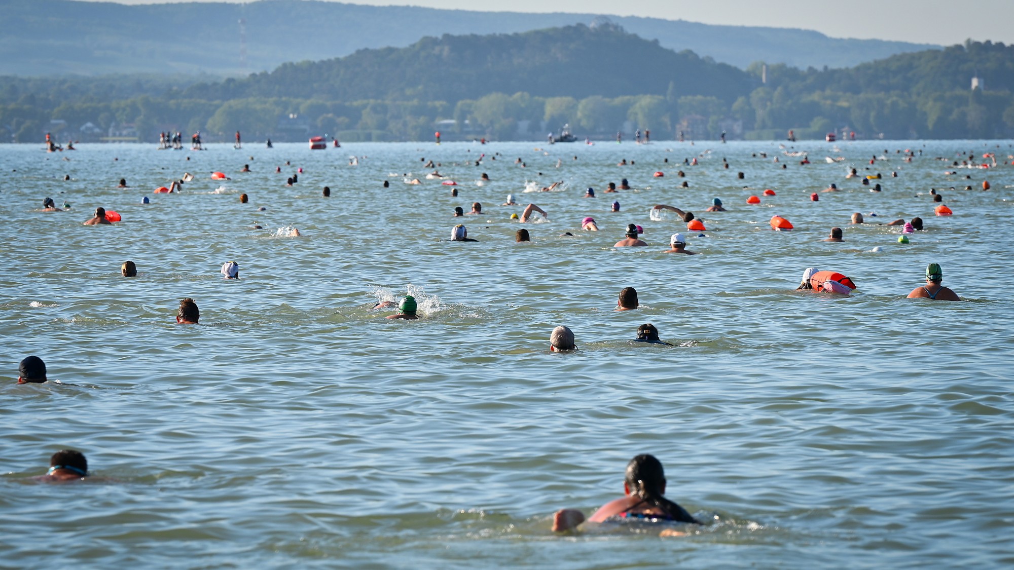 A 43. Lidl Balaton-átúszás résztvevői Révfülöpnél 2025. augusztus 9-én.