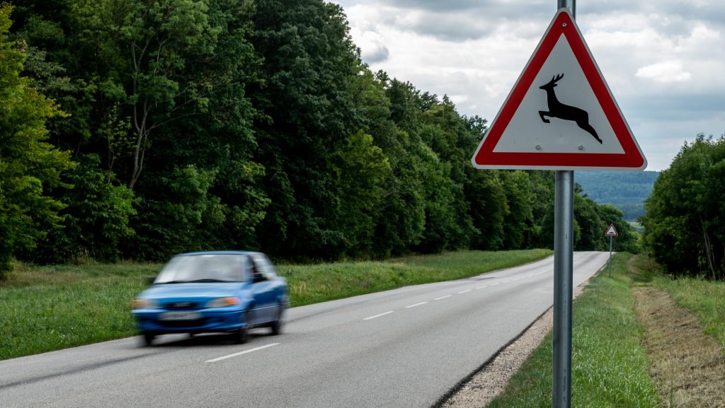 Különösen oda kell figyelni, ha mostanában erdők közelében vezetünk – figyelmeztet az agrárminiszter