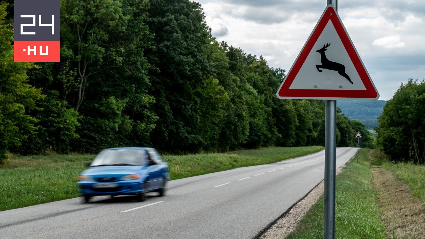 Különösen oda kell figyelni, ha mostanában erdők közelében vezetünk – figyelmeztet az agrárminiszter