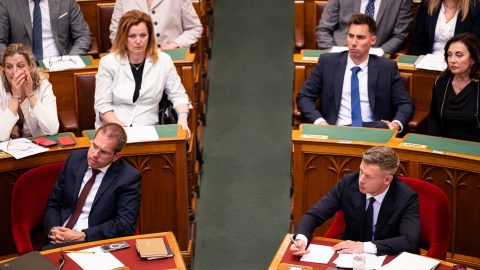 ruff, magyar
