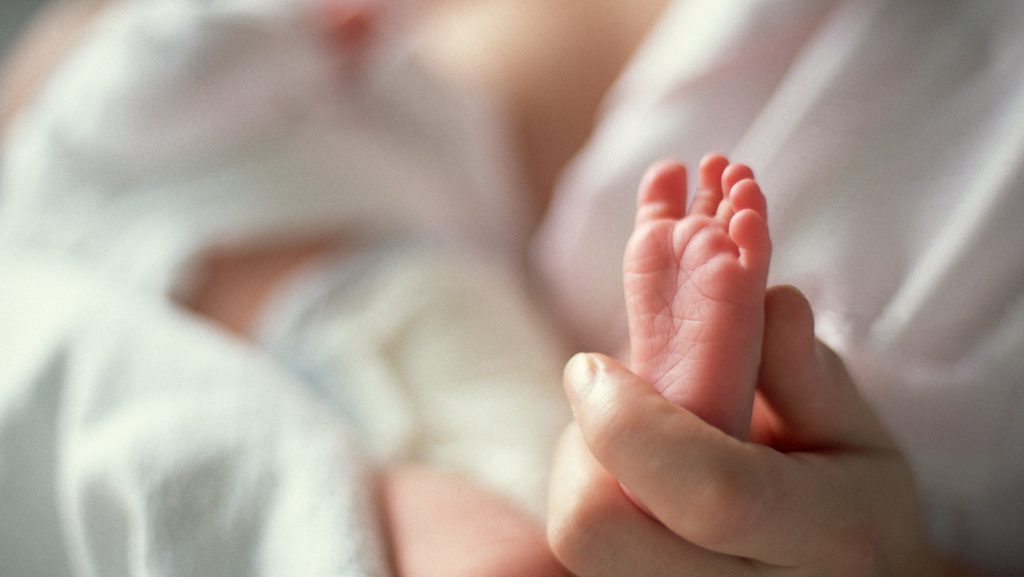 Önkéntes babasimogatókat keresnek a kistarcsai kórházba, pár óra alatt több mint százan jelentkeztek