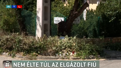 rtl