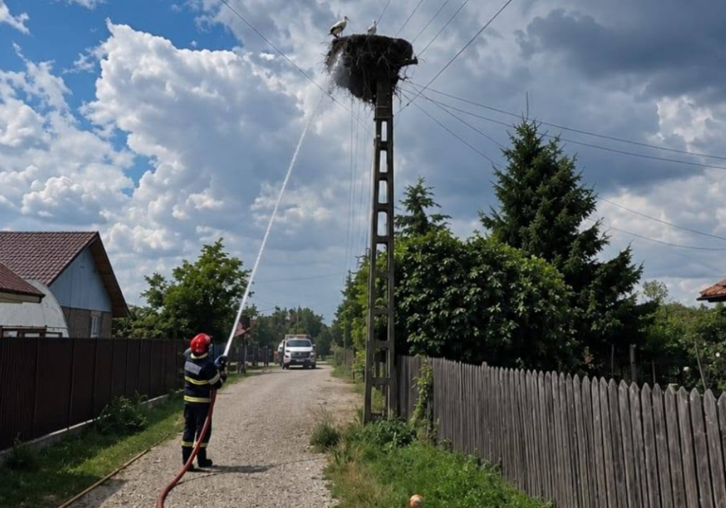 A gólyák az utolsó pillanatig védték a fészküket egy kigyulladt villanyoszlopon