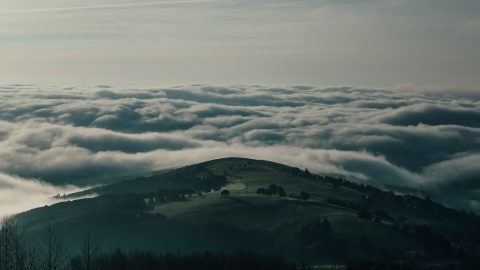 El Camino del Salvador and Primitivo, Tineo, Spain, 2026.May 31.