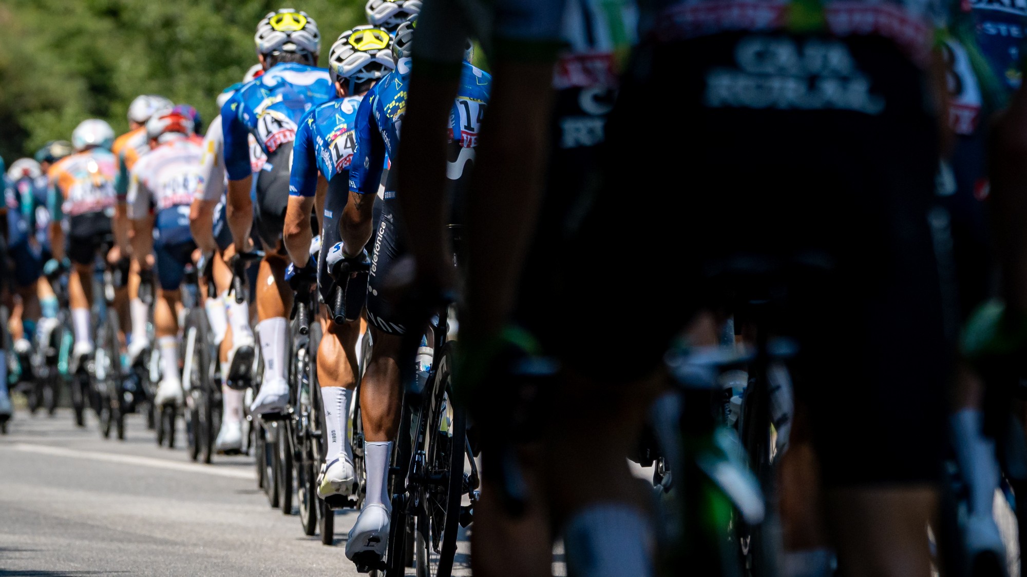 A 2026-os Tour de France mezőnye.