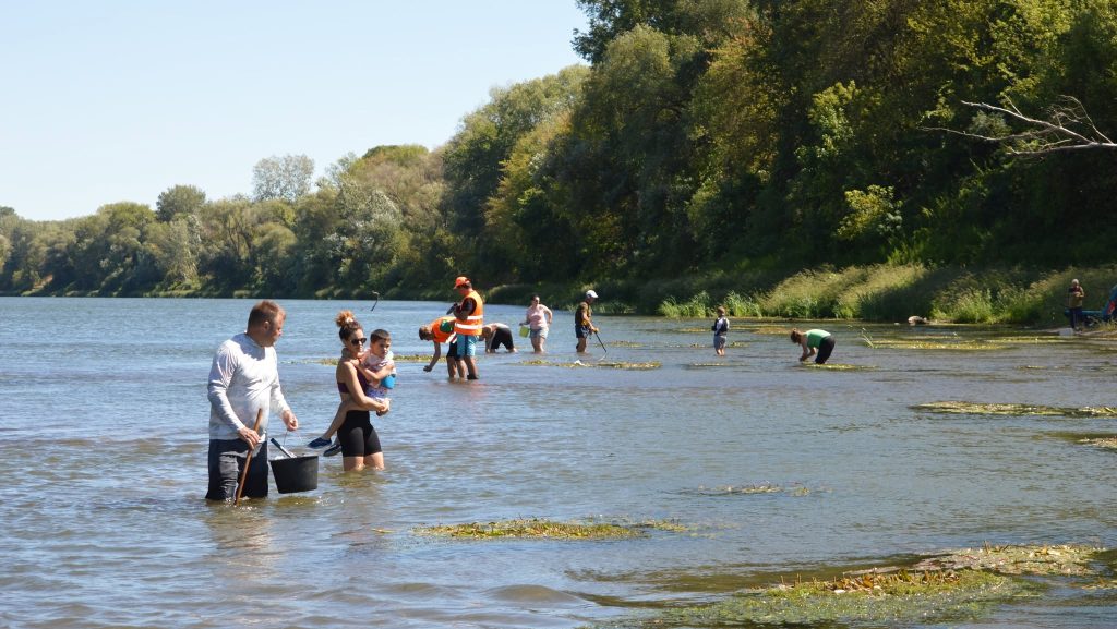Mamutcsont és ezüstpénz is előkerült a sekély Tisza medréből