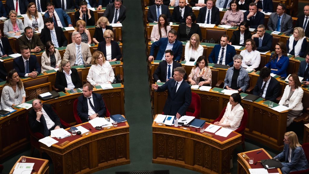 Tűzifaáfa, Médiatanács, Alkotmánybíróság: ezekről dönt a parlament
