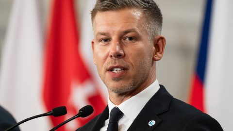 magyar péter energiaellátás kérés lakosság