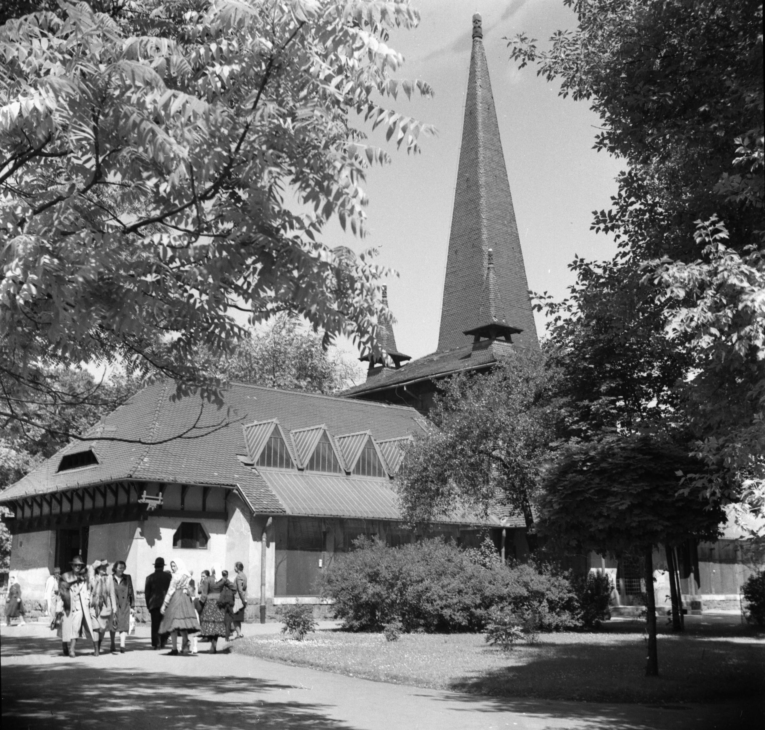 Így született meg a világ legszebb állatkertje – 160 éves a Fánk 25