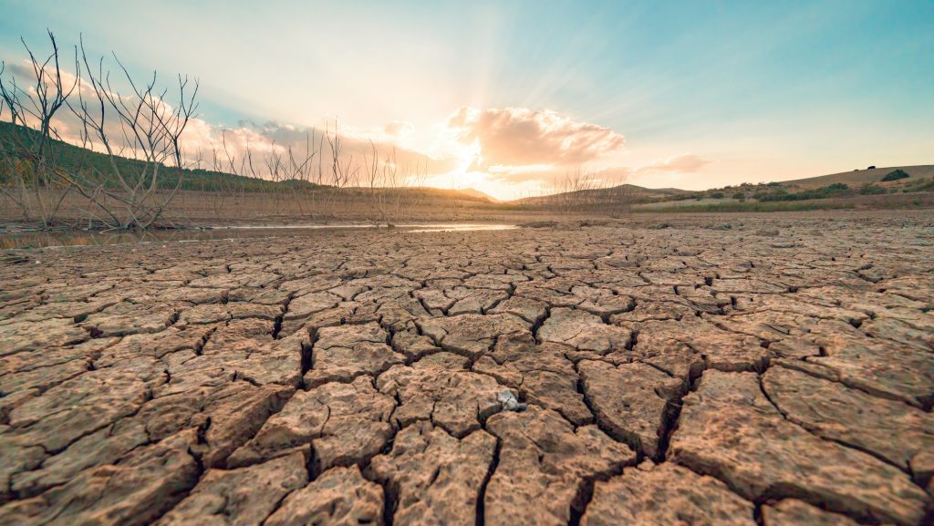 El Niño: közel 50 millió embert taszíthat éhezésbe a szélsőséges időjárás