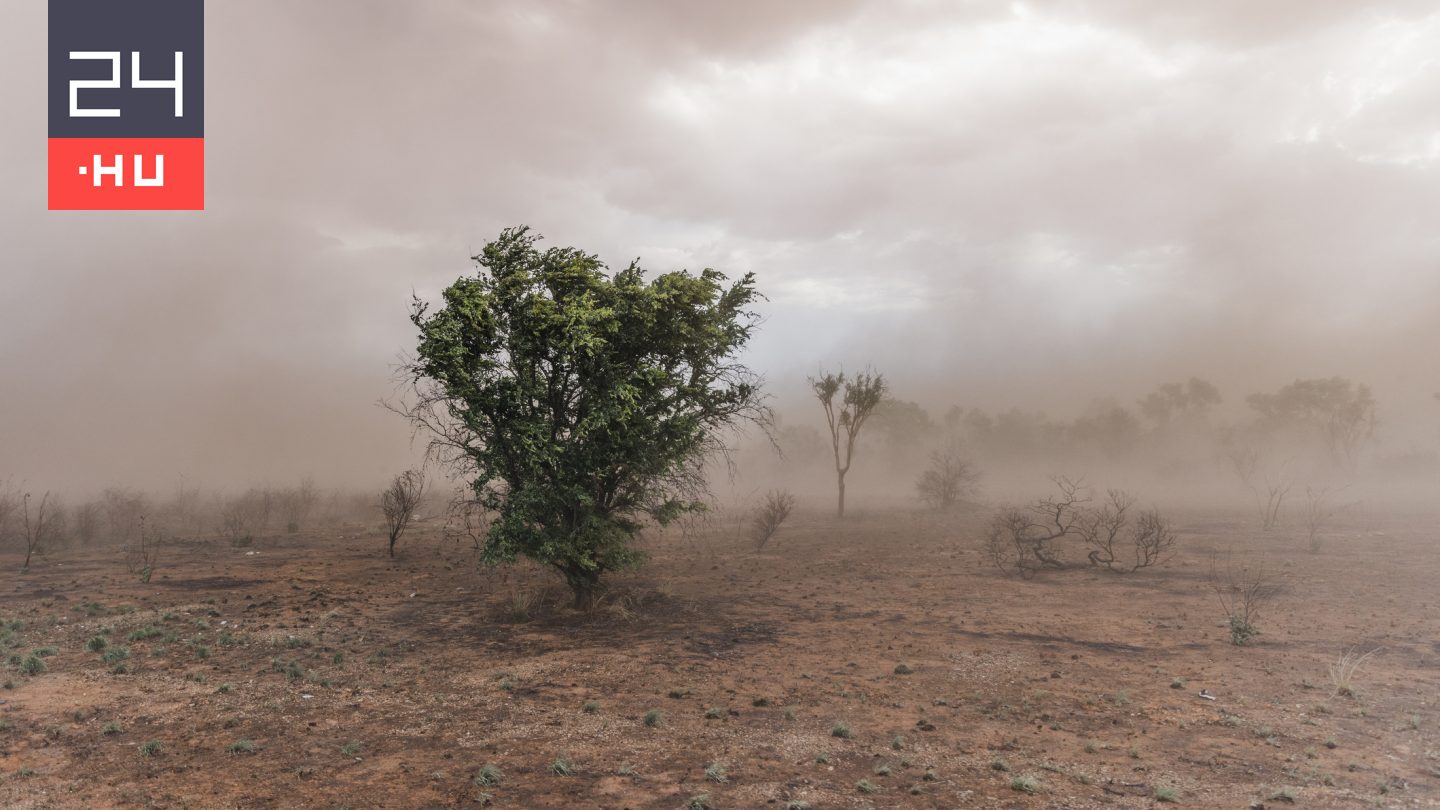 El Niño: nemcsak a nyár, az ősz is forró lehet