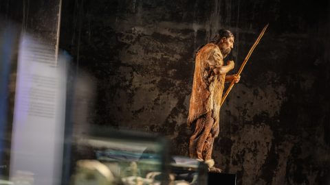 Neandervölgyi