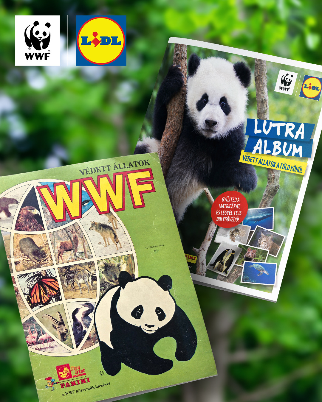 Bolygóvédő szuperhősök: a Lidl és a WWF Magyarország újra életre kelti a Lutra albumot 1