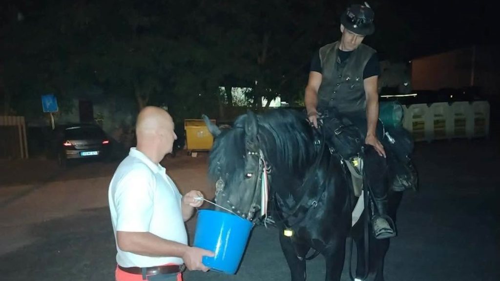 Váratlan látogató érkezett éjszaka a zsámbéki mentőkhöz