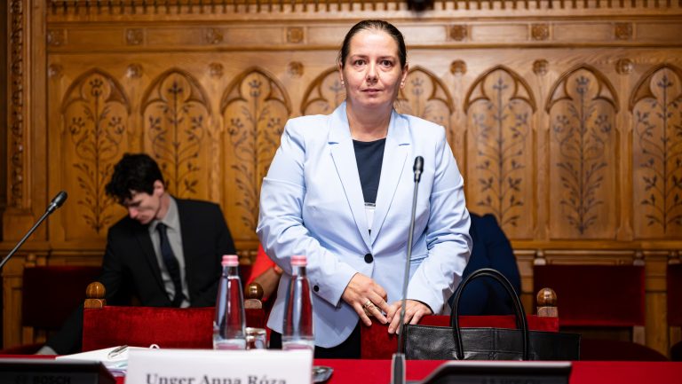 Unger Anna nyilvánosságra hozná NVVH-s pályázatát