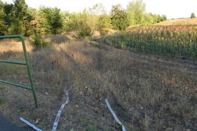 Menet közben ugrott ki négy utas egy ámokfutó kocsijából a Velencei-tónál, nem sokkal később kigyulladt a jármű 1