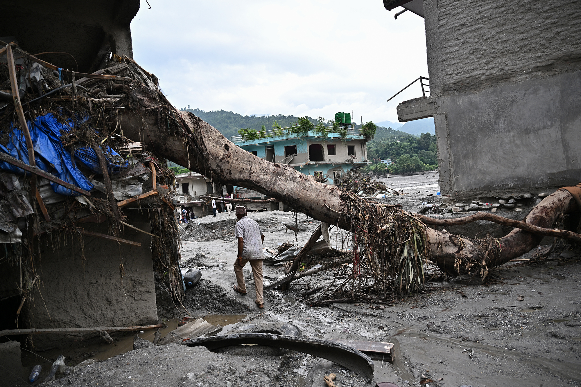Man in a light shirt and cap walks through a rubble-filled street with a fallen tree and destroyed buildings, debris scattered across the ground with hills in the background.