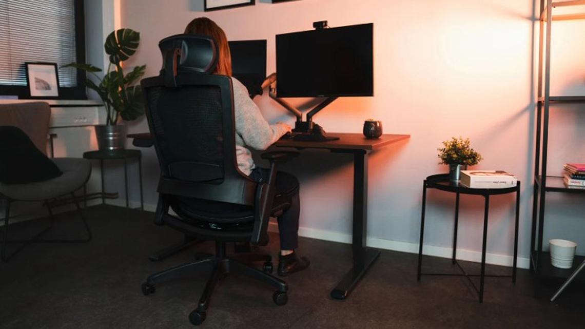 Person seated at a desk with dual computer monitors in a cozy home office, typing at an adjustable-height chair side plant nearby.