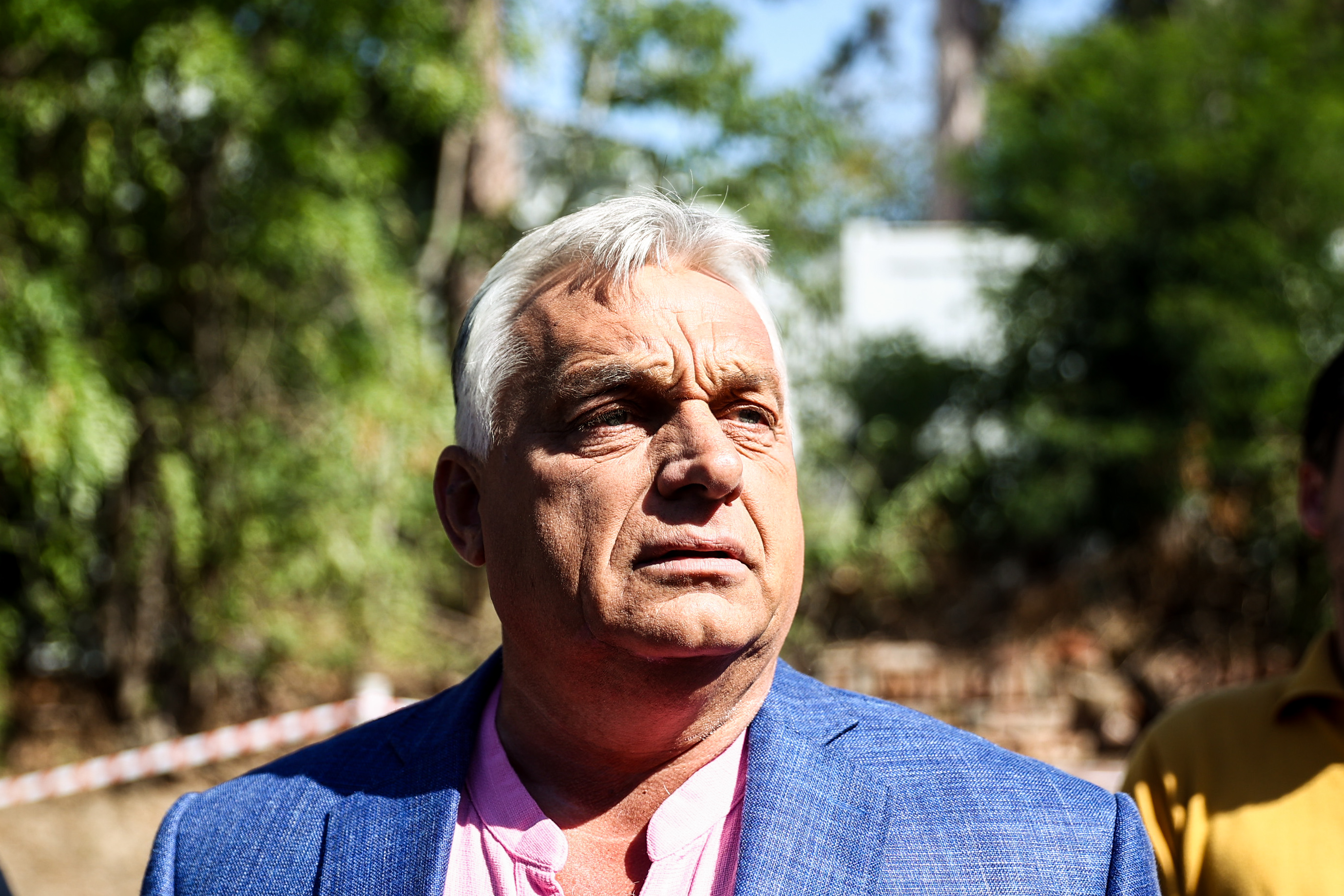Older man in a pink shirt and blue blazer photographed outdoors, greenery blurred in the background.