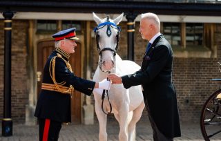 Two men in formal dress shake hands beside a white horse outside a brick building