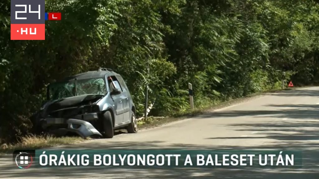 Fának csapódott, majd eltűnt egy férfi Szentendrénél, 14 órával később találták meg az erdőben