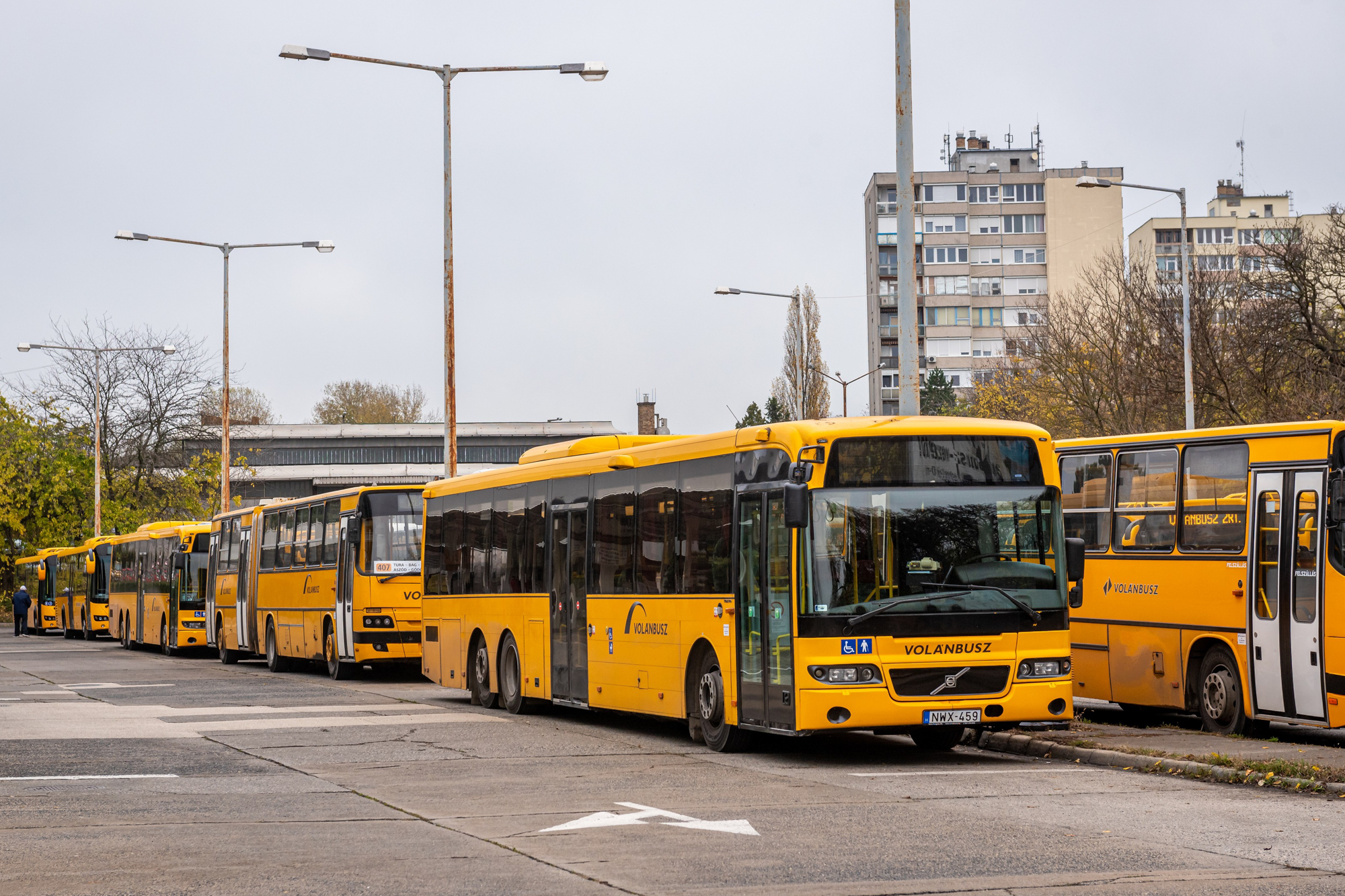 Line of yellow city buses parked in a bus yard with a tall urban building in the background under an overcast sky