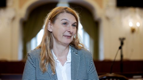 Woman in a striped blazer and white shirt, speaking or posing in a formal indoor setting with soft background blur.