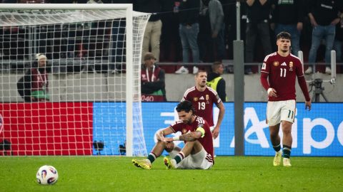 A sorsdöntő Magyarország - Írország vb-selejtező