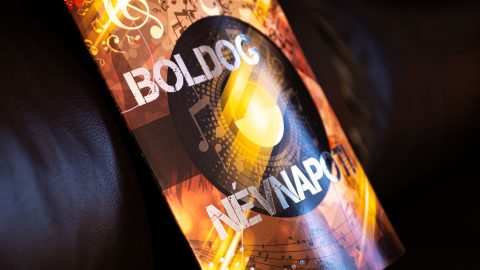 Close-up of a glossy, colorful music-themed cover with bold white text that appears to read 'BOLD DOG' and decorative circular graphics, lit with warm orange light.