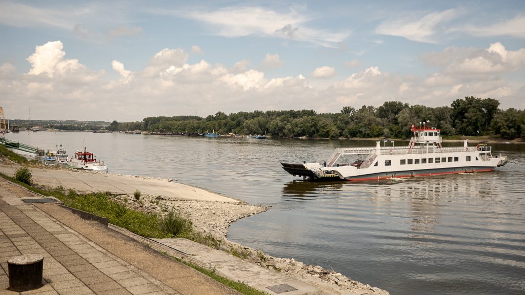 Sertéspestist találtak két baranyai vaddisznóban