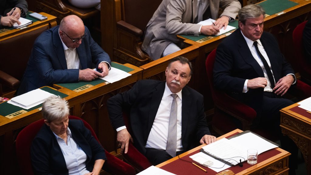 Gajdos László: Nagyon szeretném, ha szilveszterkor nem lenne tűzijáték