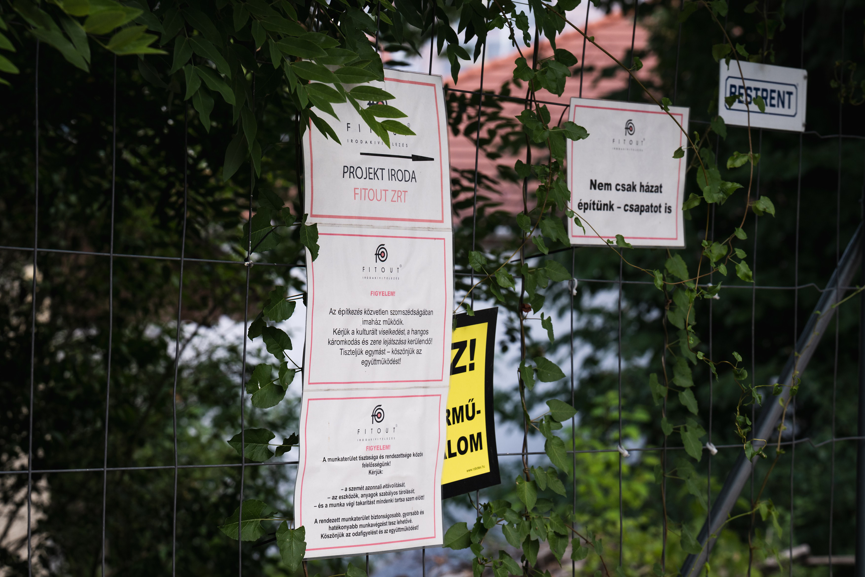 Fence covered with hung posters and ivy, featuring Hungarian notices on white cards with red borders.