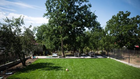 Backyard scene with a green lawn, several trees, a chain-link fence, and patio seating on a concrete area in the background, plus a white robotic lawn mower on the grass.