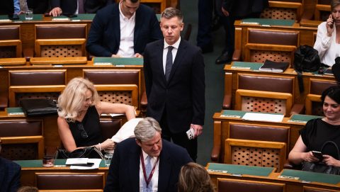 mp