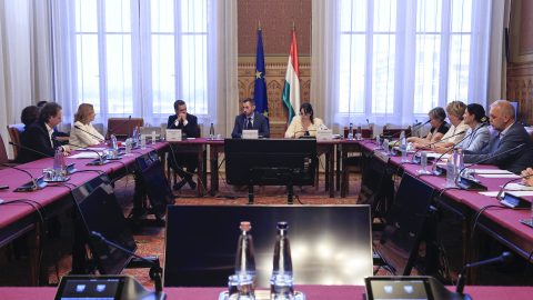 Médiatanács, parlamenti eseti bizottság