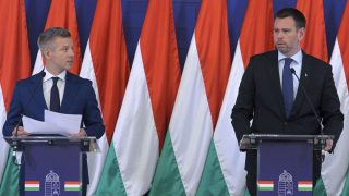 Magyar Péter, Vitézy Dávid