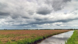Wide rural field with brown grasses and a narrow water canal to the right, under a cloudy sky.