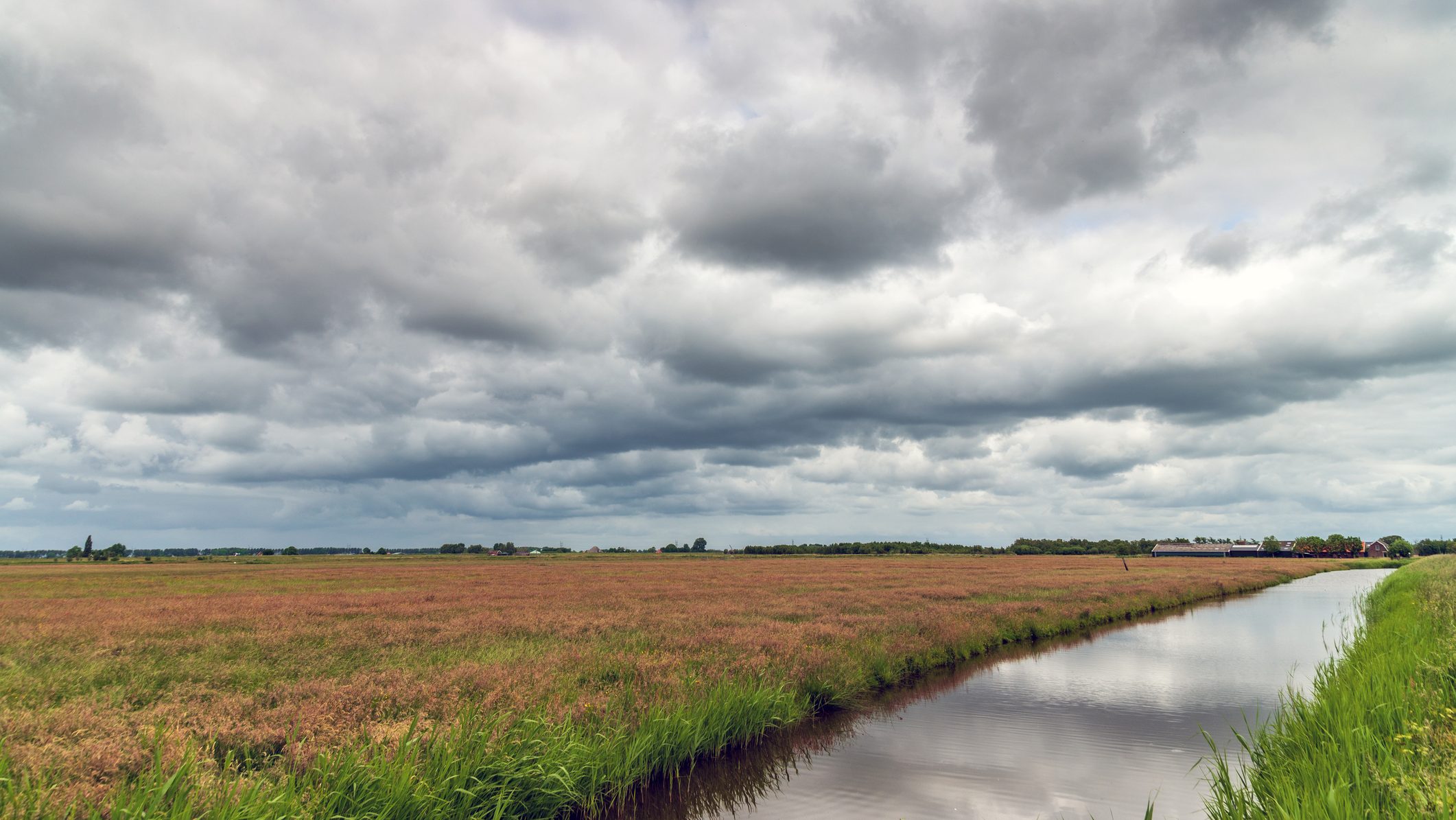 Wide rural field with brown grasses and a narrow water canal to the right, under a cloudy sky.