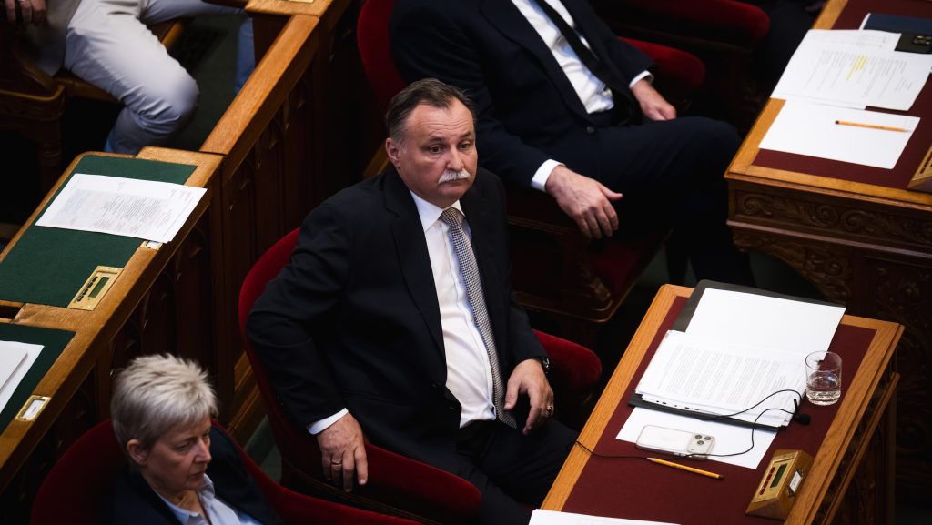 Gajdos László bejelentette, hogy átvilágítják az állatmenhelyeket, és életszerűbbé teszik az örökbefogadást