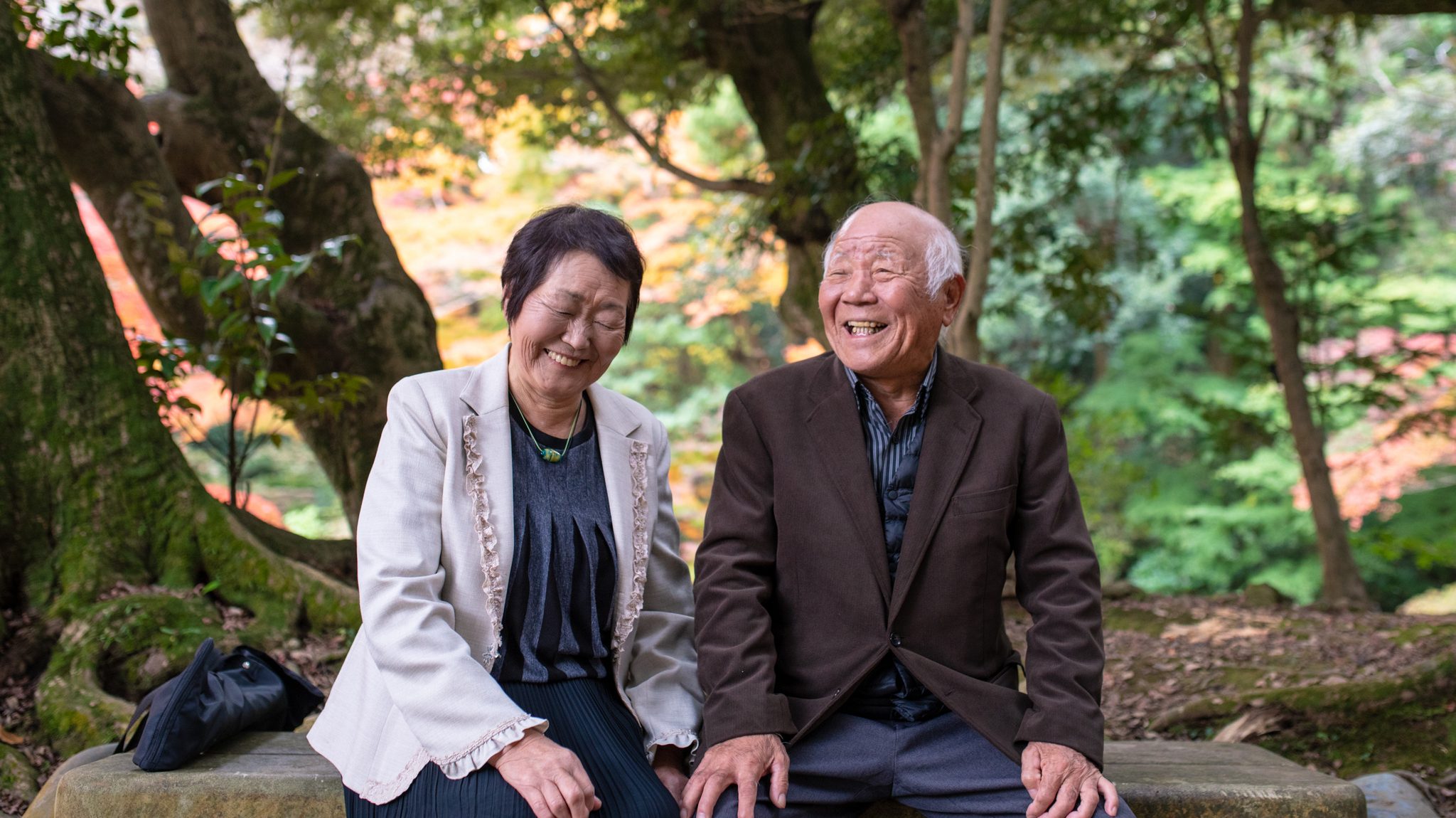 Elderly couple sitting on a park bench, smiling, surrounded by trees with autumn colors in the background.