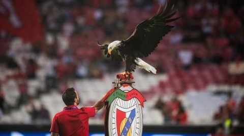 A Benfica kabalája és gondozója.