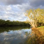 A Fitzroy folyó.