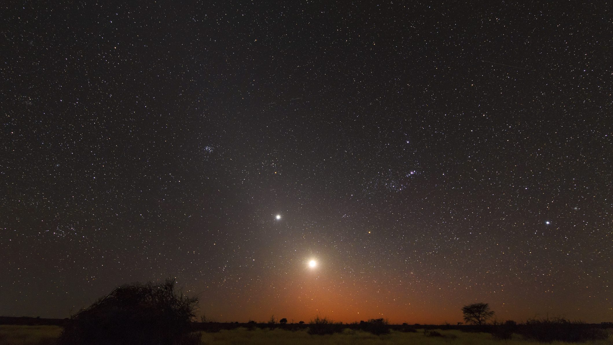 Star-filled night sky over a dark, open field with an orange glow along the horizon and silhouetted shrubs in the foreground.