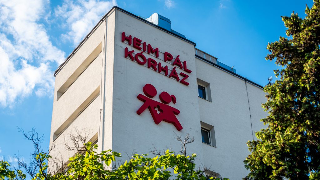 Csoportos ételmérgezés történt Budapesten és környékén, több gyerek kórházba került