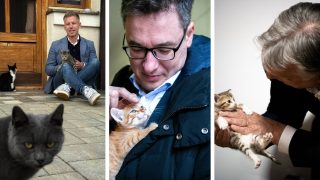 Man in a blue blazer sits on a doorstep with a tabby cat on his lap and a black-and-white cat nearby.”