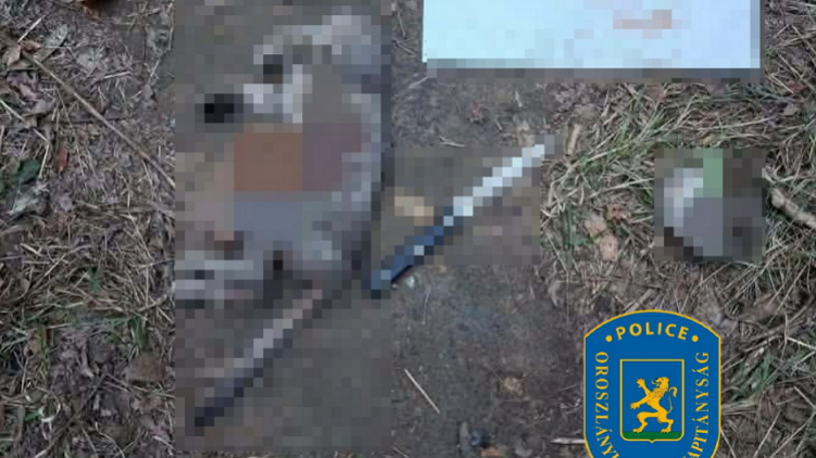 Nagykéssel szúrt le egy macskát a 14 éves fiú: egy online csoporttól vette a példát