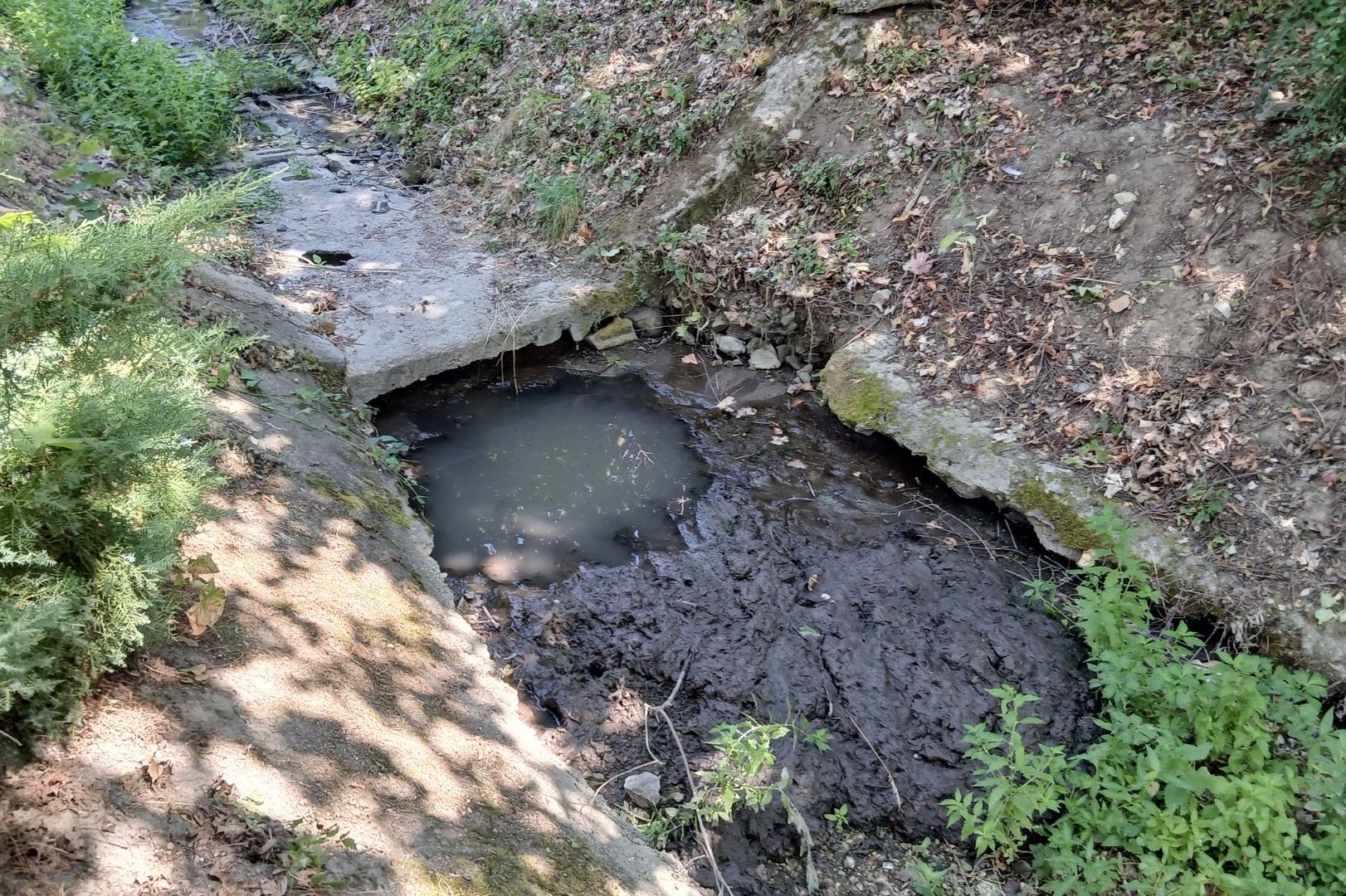 Muddy drainage ditch with a small stagnant pool, surrounded by dirt banks and green vegetation.