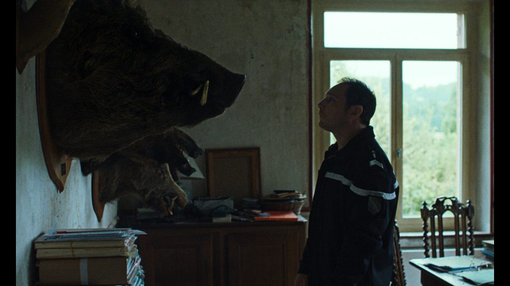 A penészfoltból induló társasházi kálvária és a vaddisznók is győztek a miskolci filmfesztiválon