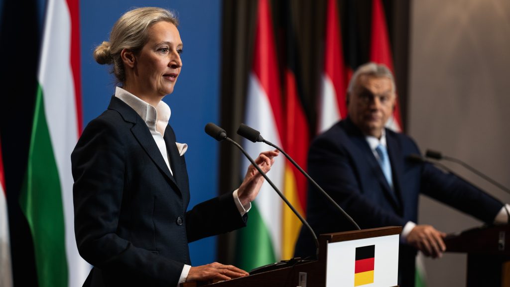 Feltörték a német AfD e-mailjeit, tartalmuk miatt elég kellemetlen helyzetbe került a pártot vezető Weidel