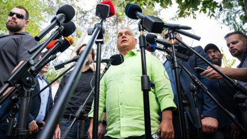 Kötcsei piknik 2024. szeptember 7-én a Dobozy kúria kertjében., Image: 1049426949, Fotó: Varga Jennifer / 24.hu